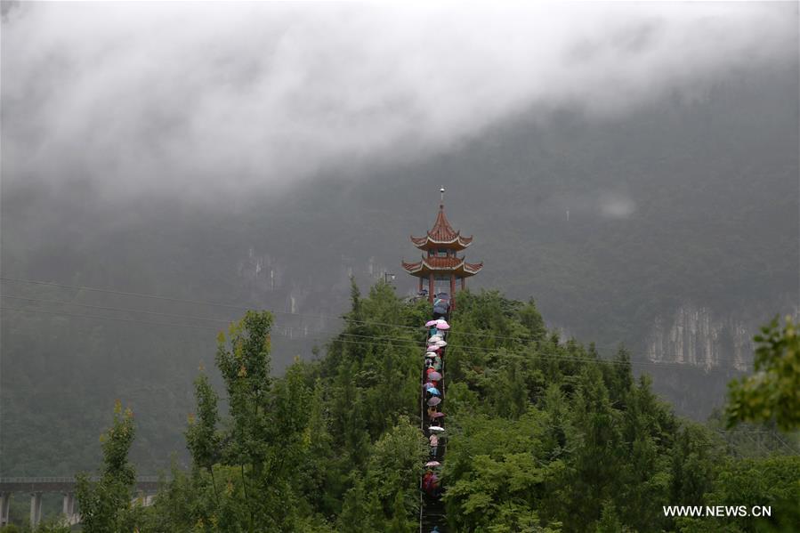 ????? ???? 48.8 ????? ???? ?????? ????? ???? ???? ??? ????? ??????