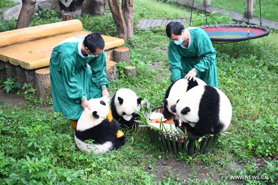 ???? ??? ????? ?????? ??????? ????? ?????? ?? ???? ???? ?????