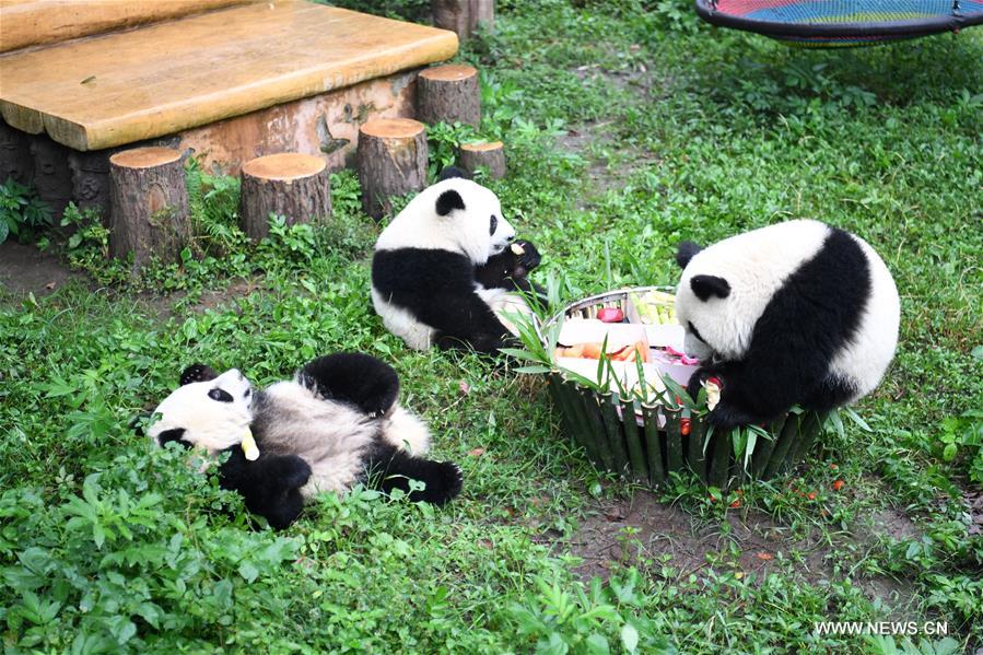 ???? ??? ????? ?????? ??????? ????? ?????? ?? ???? ???? ?????