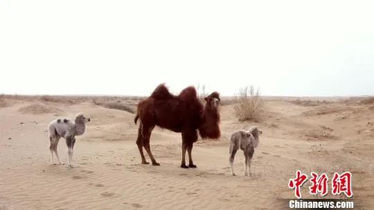 ?????? ???? ?????? ?? ????? ??????? ????????