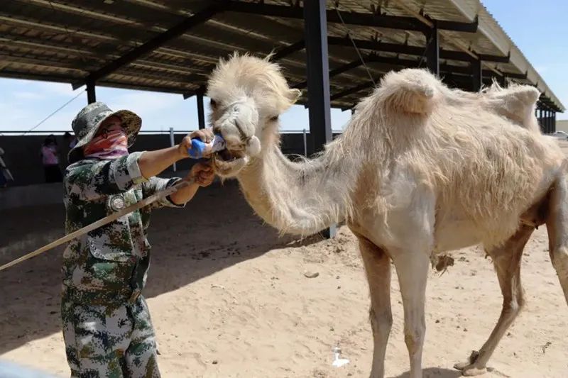 ?????? ???? ?????? ?? ????? ??????? ????????