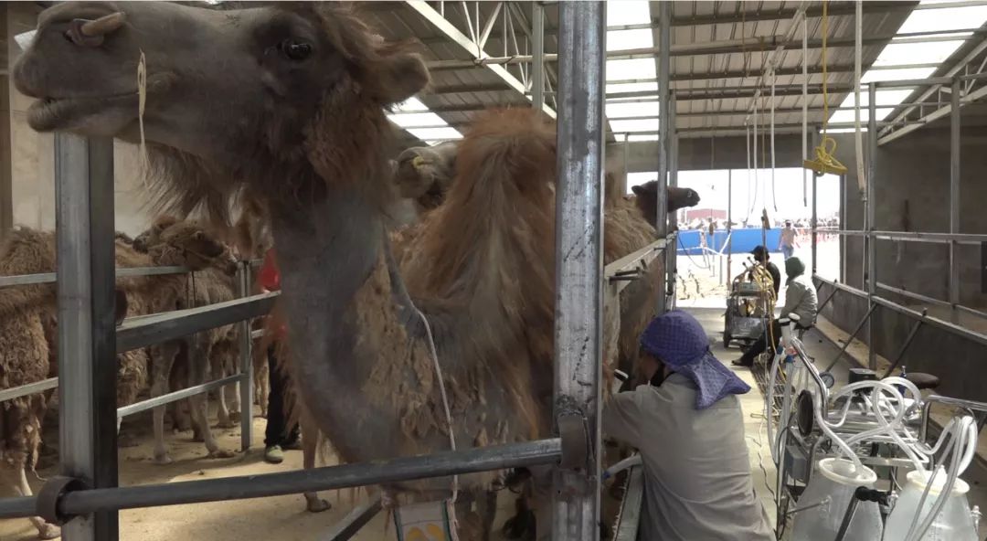 ?????? ???? ?????? ?? ????? ??????? ????????