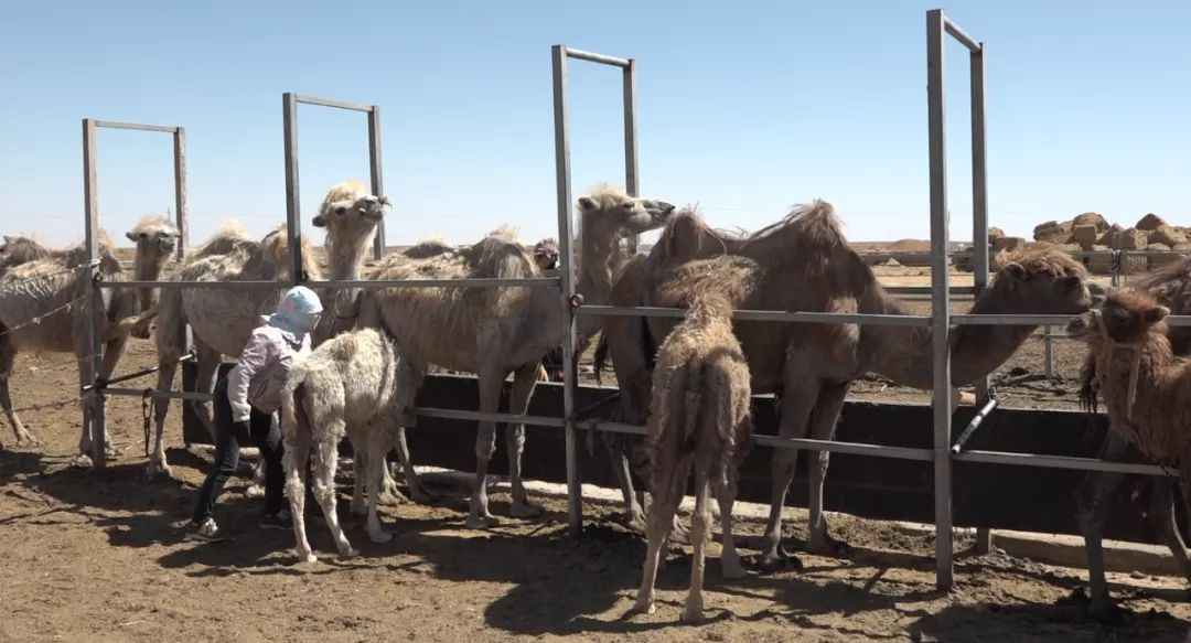 ?????? ???? ?????? ?? ????? ??????? ????????