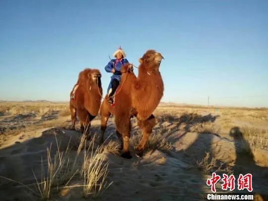 ?????? ???? ?????? ?? ????? ??????? ????????