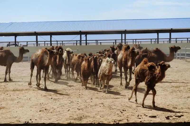 ?????? ???? ?????? ?? ????? ??????? ????????