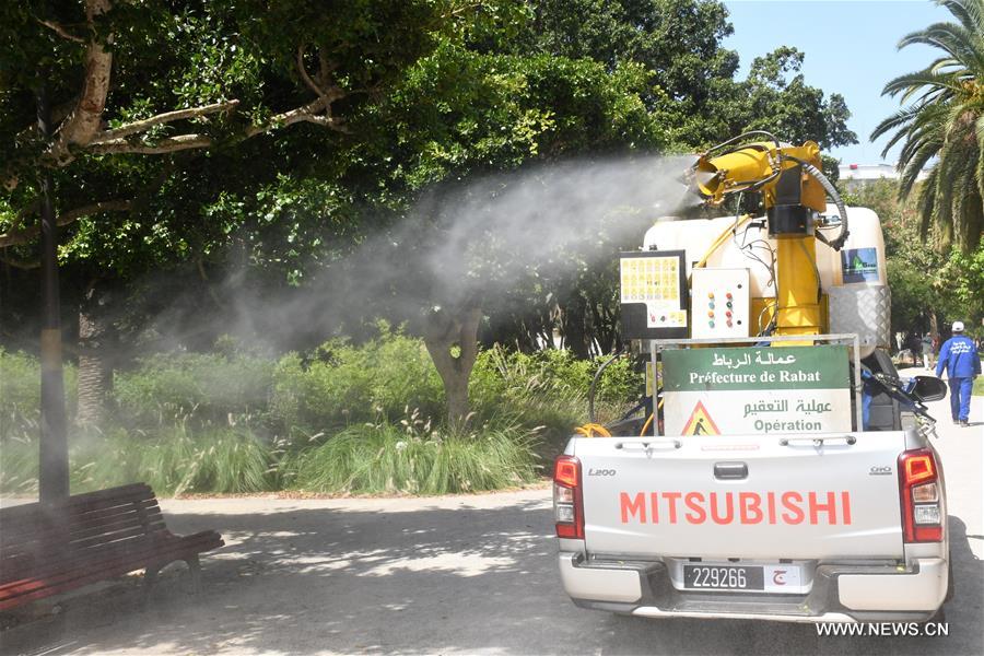 ??????: ????? 238 ????? ????? ???? ????? ?????? ????? ???????? ??? 12290 ????