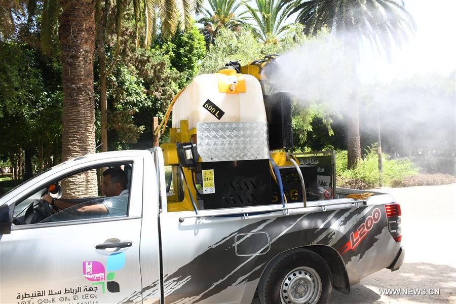 ??????: ????? 238 ????? ????? ???? ????? ?????? ????? ???????? ??? 12290 ????