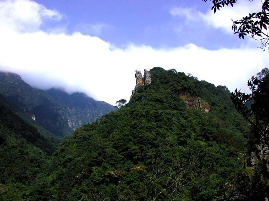 ???? ????? ??????? ????? ?? ??? ?????? ???????? ??????? ????? ????? ?? ??? ?????