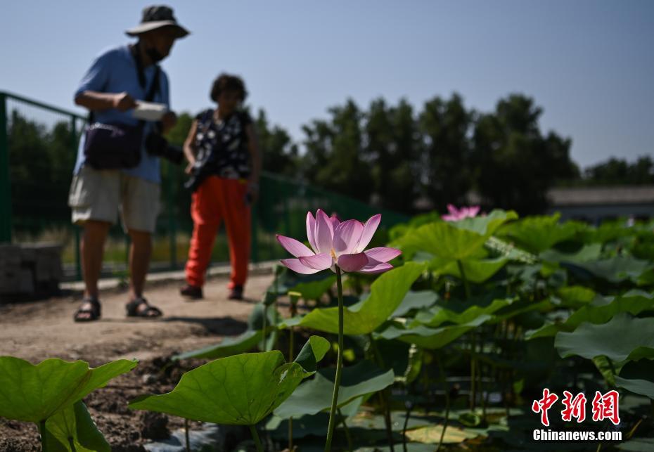 ???? ???? ????? ????? ?? ????? ???? ???? ????