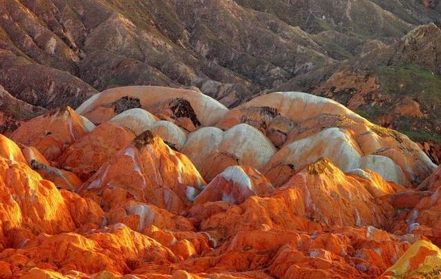 ????? ???? ??????? ??????? ?? ????? ??????? ?????????? ???????? ????????