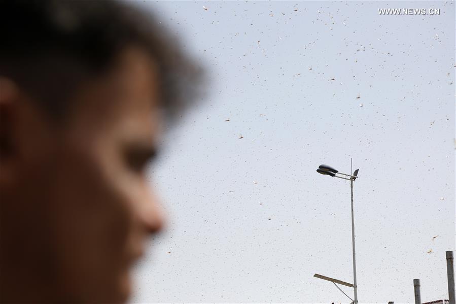 ?????? ???????? ?? ?????