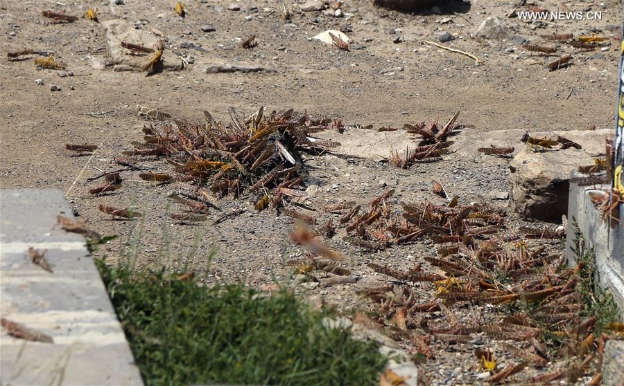 ?????? ???????? ?? ?????