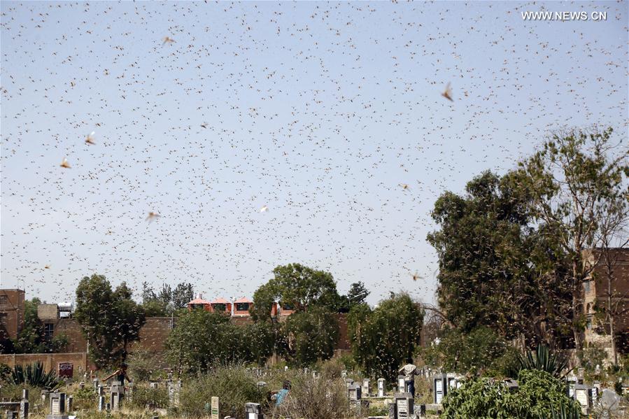 ?????? ???????? ?? ?????