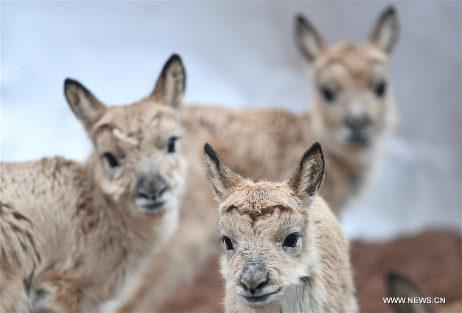 ????? 11 ?? ???? ?????? ??????? ??????? ?? ???? ???? ?????