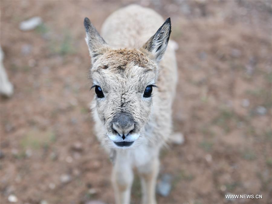 ????? 11 ?? ???? ?????? ??????? ??????? ?? ???? ???? ?????