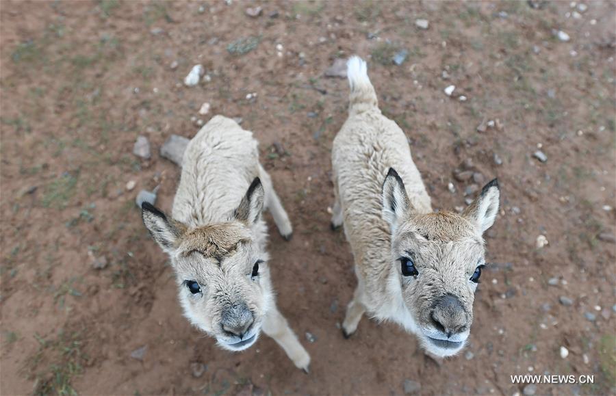 ????? 11 ?? ???? ?????? ??????? ??????? ?? ???? ???? ?????