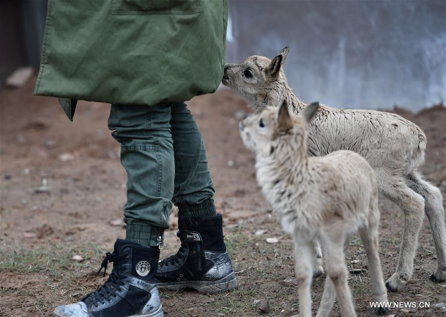 ????? 11 ?? ???? ?????? ??????? ??????? ?? ???? ???? ?????