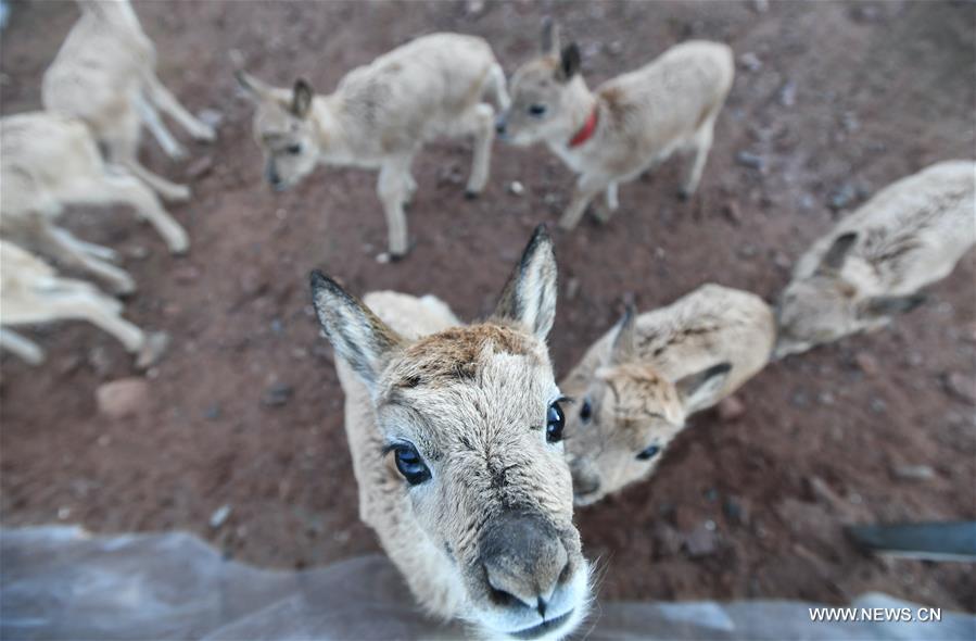 ????? 11 ?? ???? ?????? ??????? ??????? ?? ???? ???? ?????