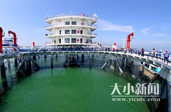 ????? ???? ????? ???? ??? ????? ?????? ?? ??? ?????