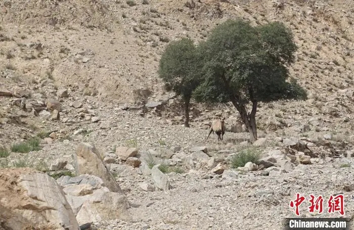 ??? ???? 100 ??? ????? ??? ????? ???? ???? ??? ???