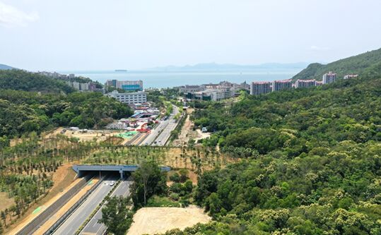 ????? ??????: ???? ??? GEP ????? ??? ????? ??????? ???????????