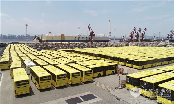 ???? ????? ???? 449 ????? ?????? ??? ????????