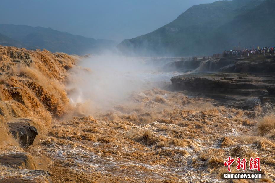 ???? ???? ???? ???? ???????