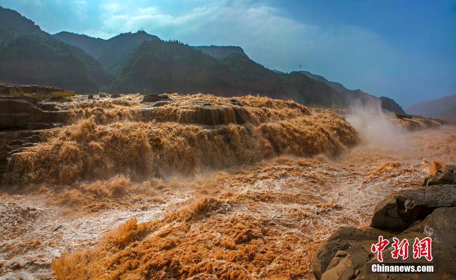 ???? ???? ???? ???? ???????