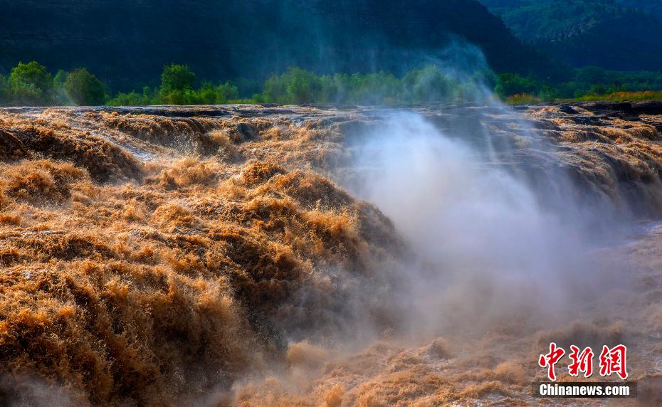 ???? ???? ???? ???? ???????