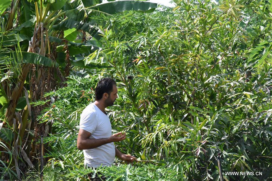 ??? ???? ???? ???? ?????? ??? 