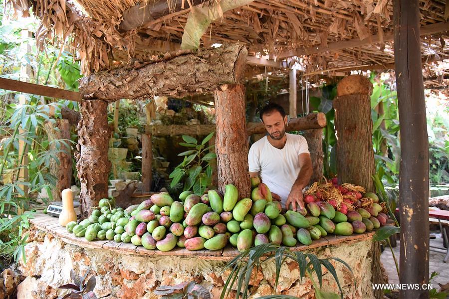 ??? ???? ???? ???? ?????? ??? 