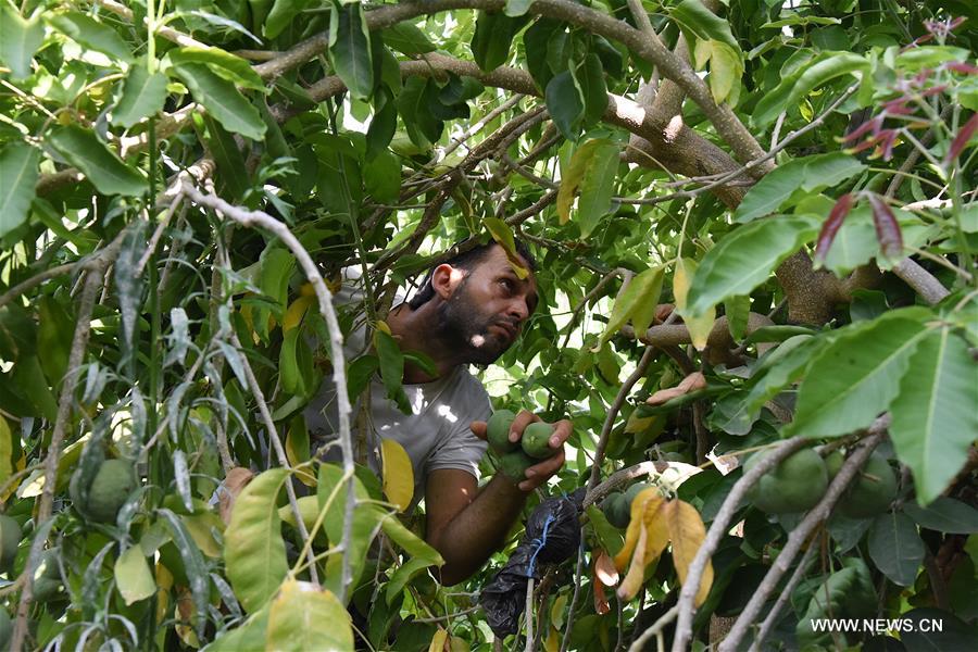 ??? ???? ???? ???? ?????? ??? 