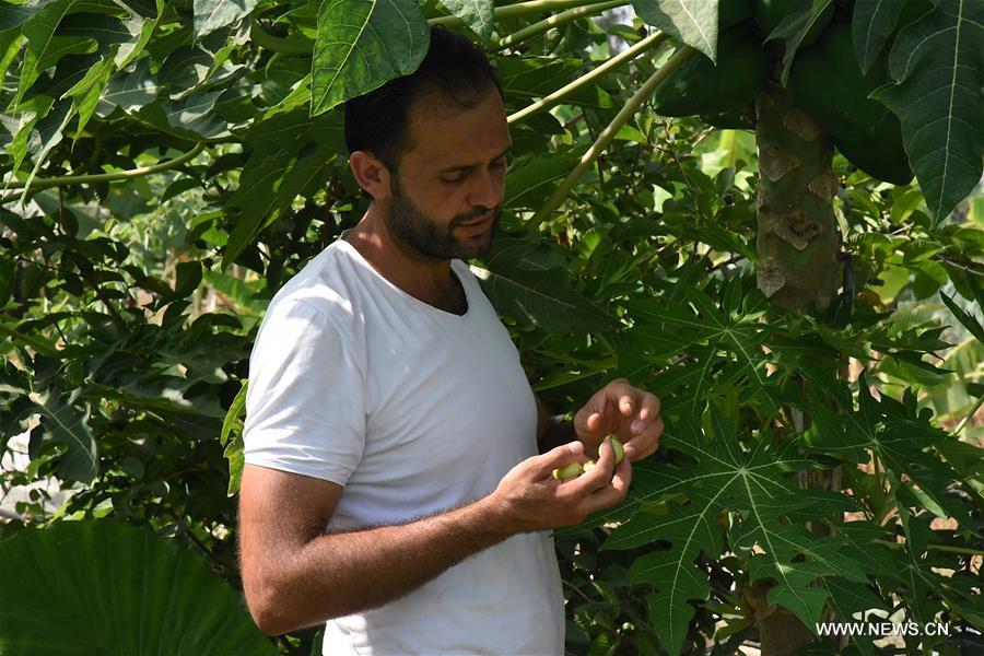 ??? ???? ???? ???? ?????? ??? 