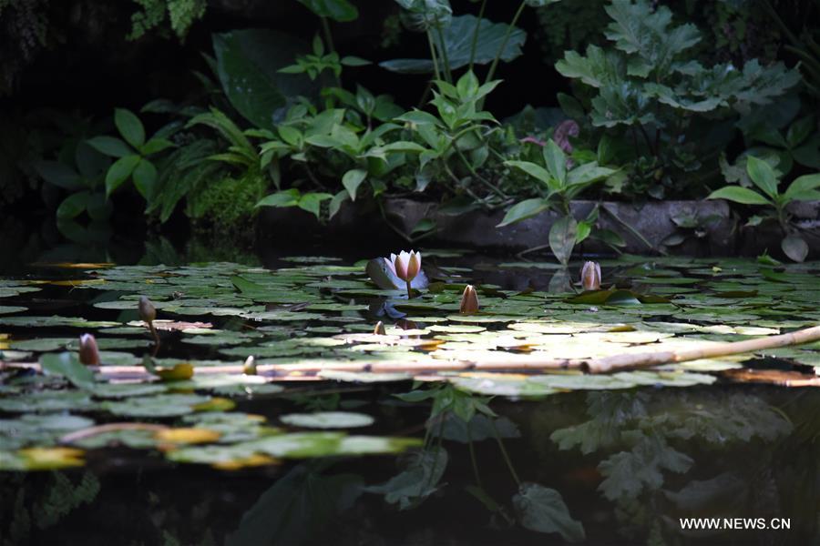 ??? ???? ???? ???? ?????? ??? 