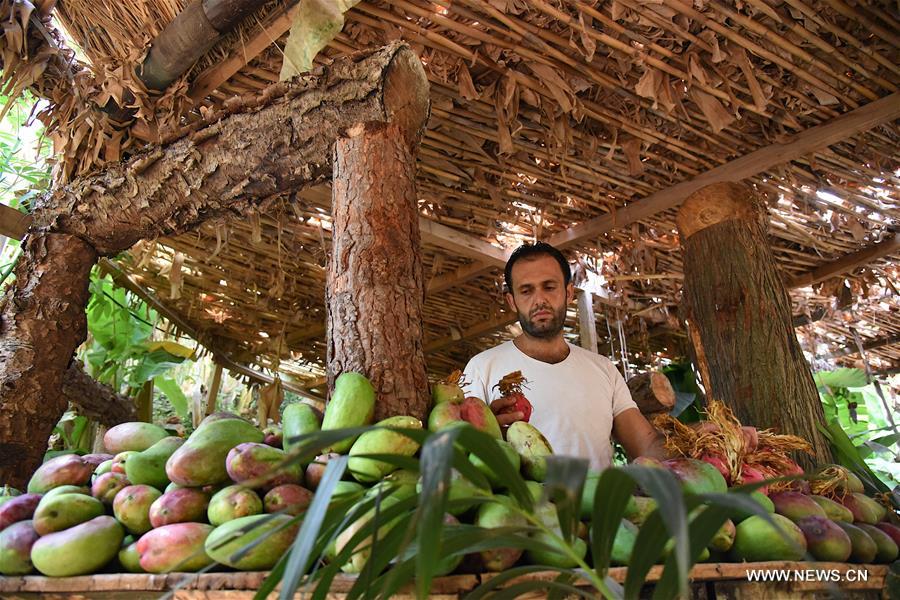 ??? ???? ???? ???? ?????? ??? 