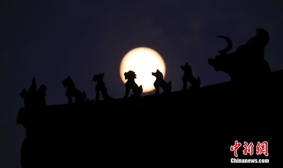 ????? ?????: ????? ???? ????? ??? 14 ?? ????? ?????? ??????