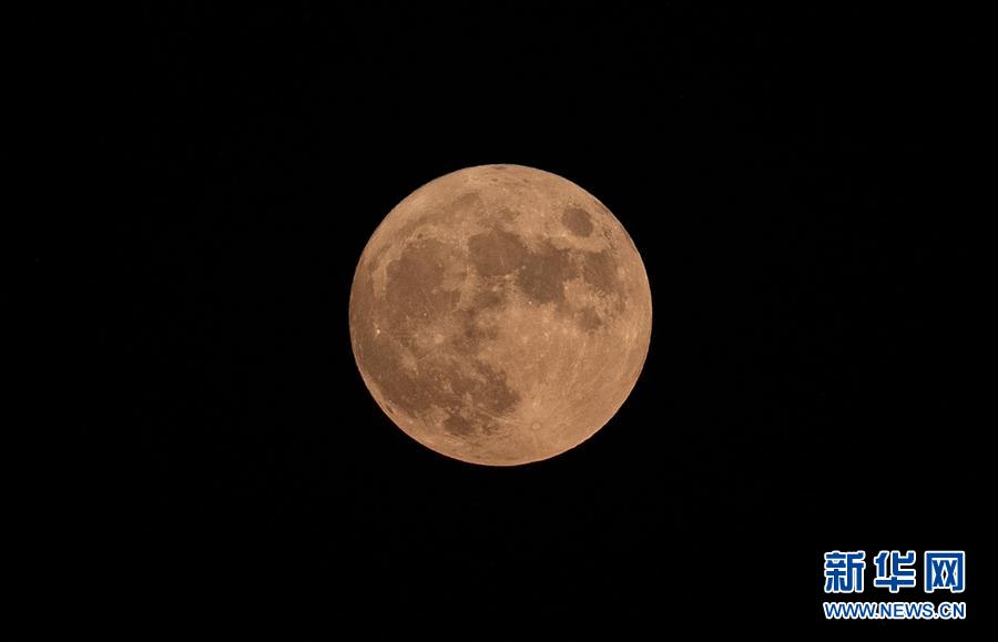 ????? ?????: ????? ???? ????? ??? 14 ?? ????? ?????? ??????