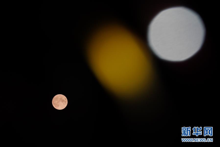 ????? ?????: ????? ???? ????? ??? 14 ?? ????? ?????? ??????