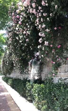 ????? ?????! ?? ????? ?????? ??????