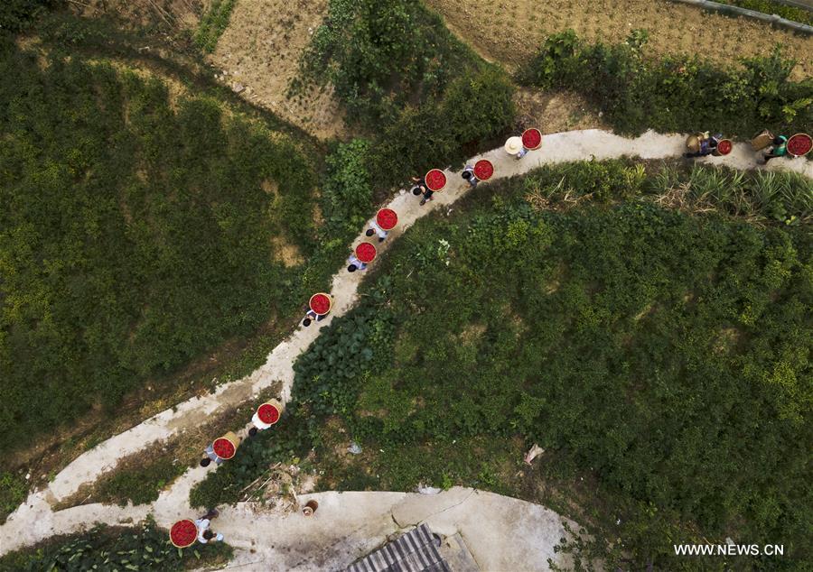 ????? ?????? ??? ????? ???? ?? 360 ??? ????? ?? ???? ???? ?????