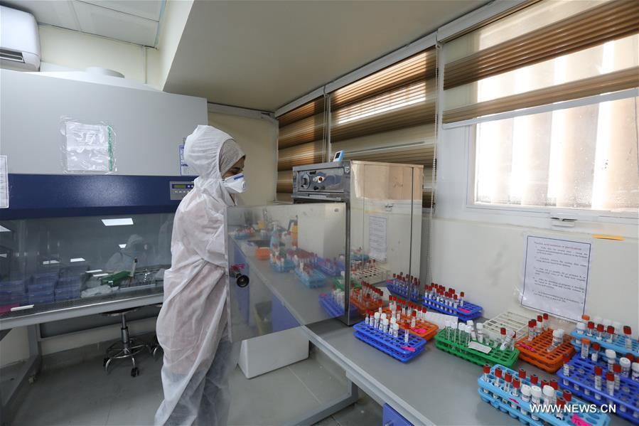 ????? : ?? ??? ???? ??????? ?????? ?? ?????? ??????? 