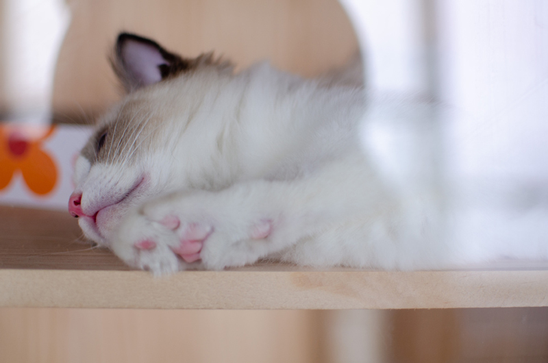 ??? ???? ???? ??????? ???????? ?? ????? ????????