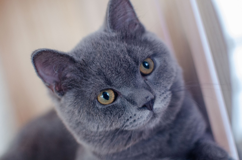 ??? ???? ???? ??????? ???????? ?? ????? ????????