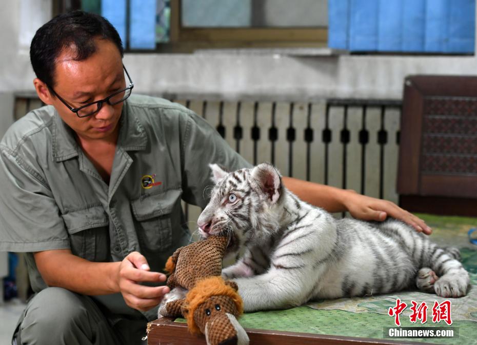 ??? ?????: ????? ??????? ??? 