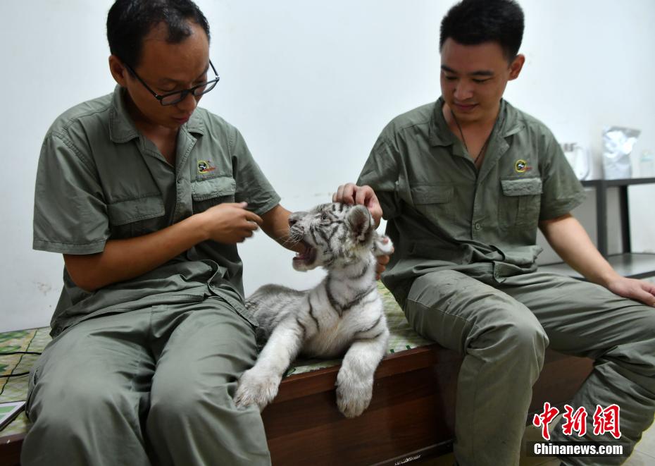 ??? ?????: ????? ??????? ??? 