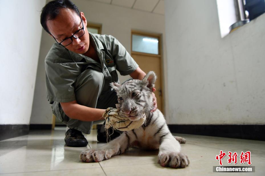 ??? ?????: ????? ??????? ??? 