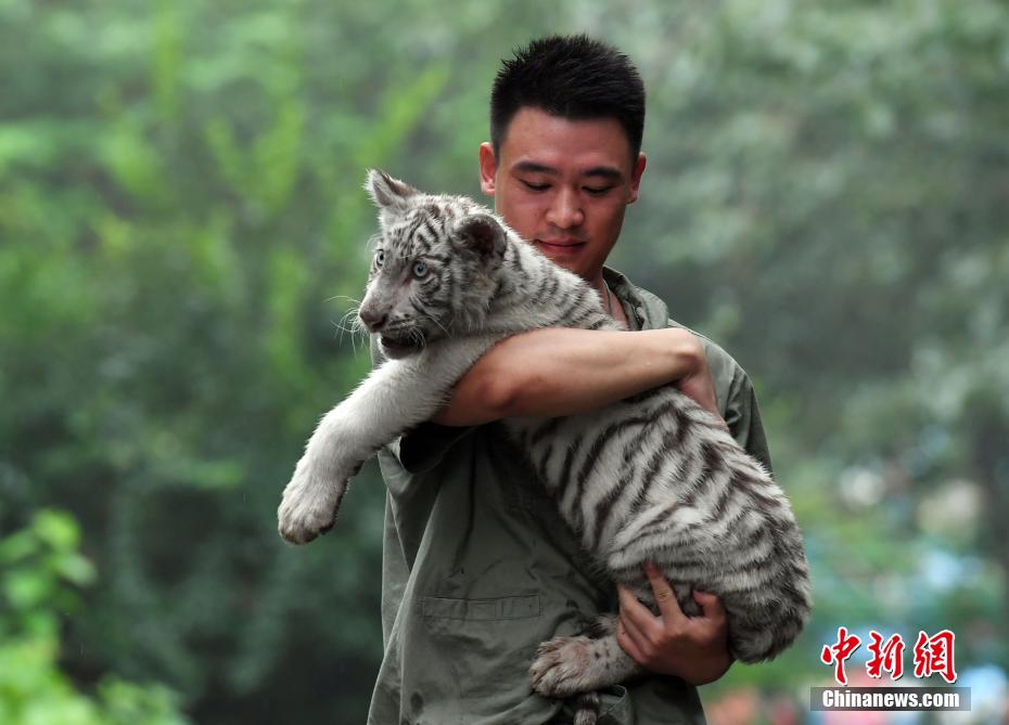 ??? ?????: ????? ??????? ??? 