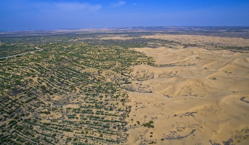 ????? ????: ????? ????? ??????? ??????