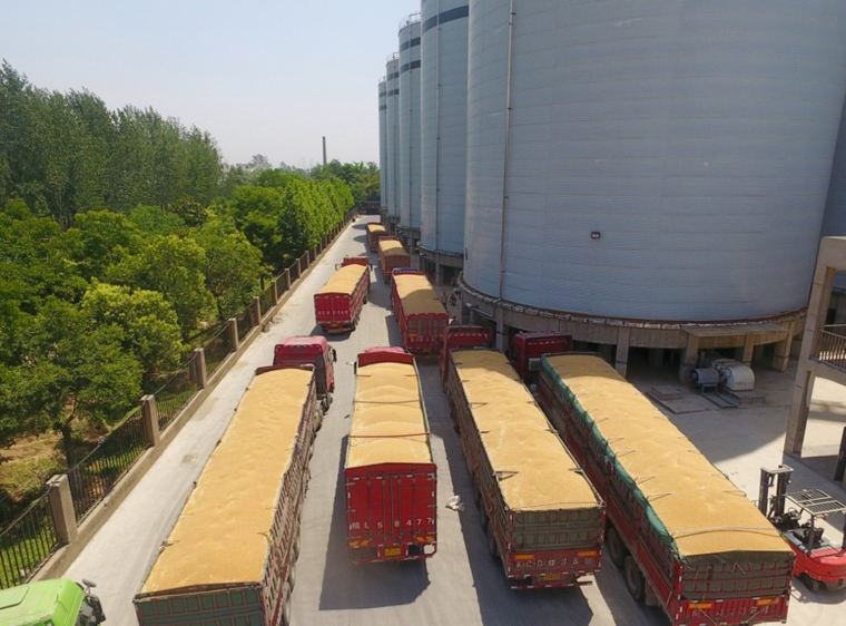 ???? ????? ???? ?? ????? ??? ????? ??????? ????????