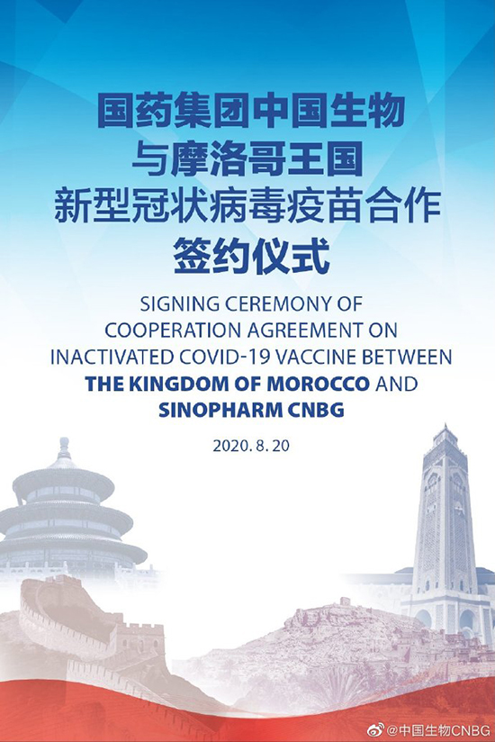 ???? ???? ????.. ????? ???? ? ????? ??? ?????? ?????? ??????-19